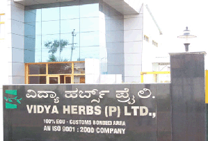 Lorem ipsum Lorem ipsum